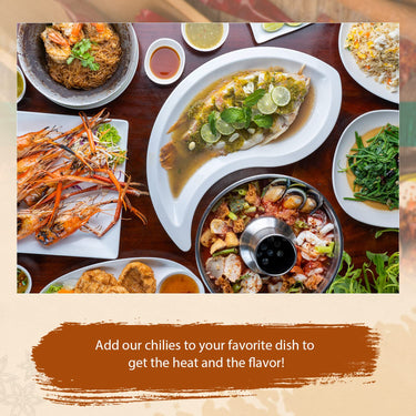 52USA Szechuan Red Dried Chilis, Whole Chili, Mild Spicy Chinese Chili 4 Oz (Mild Hot)